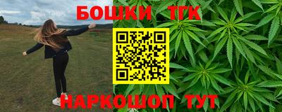 амф Сланцы