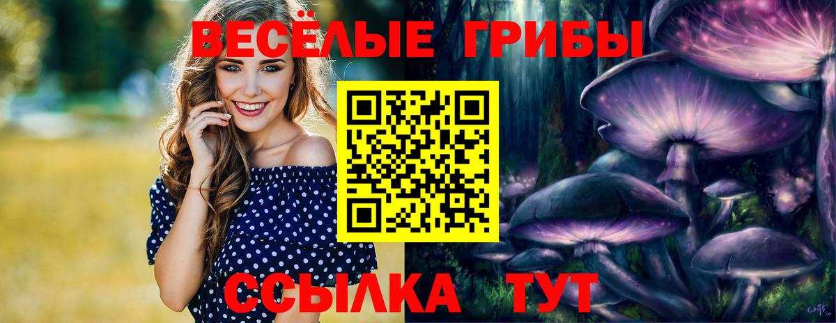 Волжск  Галлюциногенные грибы ЛСД  Вход с VPN  Псилоцибиновые грибы Cubensis 